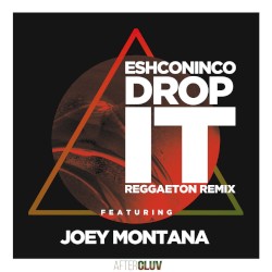 Drop It (reggaeton remix)