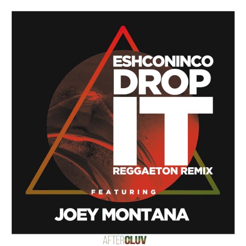 Drop It (reggaeton remix)