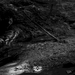 Into the Earth