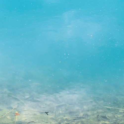 The Water