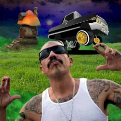 LOKOTE COMO MR. YOSIE