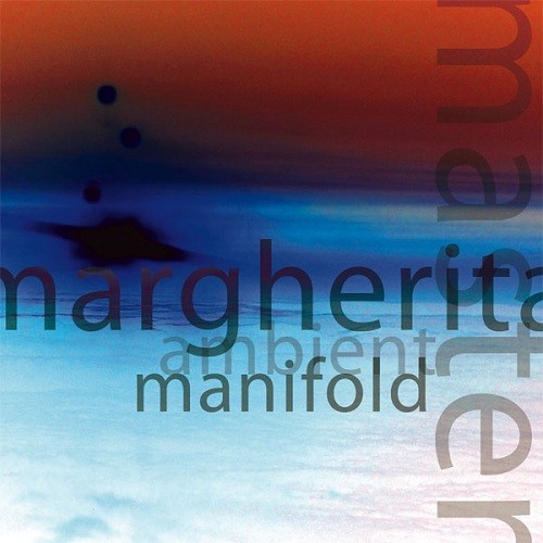 Ambient Manifold
