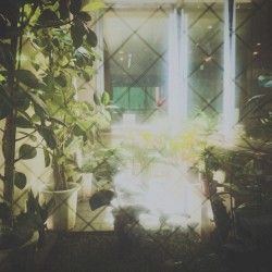 place where I belong