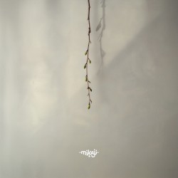 Vrbice (Mikaji Remix)