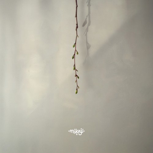 Vrbice (Mikaji Remix)