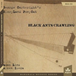 Black Ants Crawling