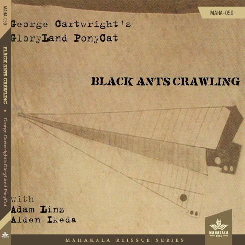 Black Ants Crawling