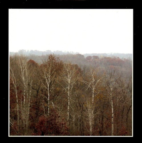 Necro Acoustic 2: Malaise