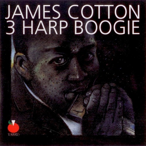 3 Harp Boogie