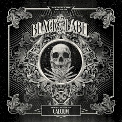 Skull Vault EP