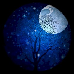 Skeleton Moon
