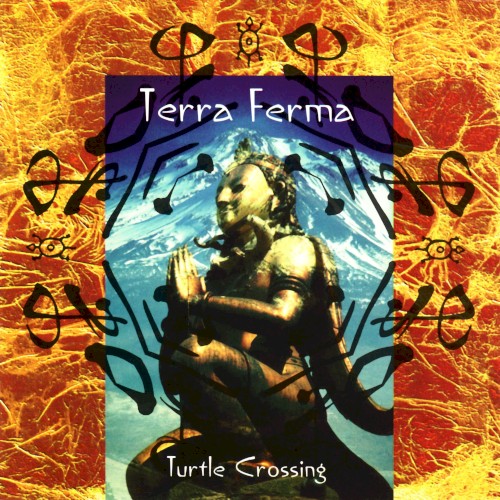 Turtle Crossing