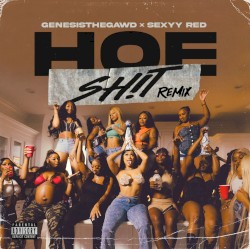 Hoe Shit (remix)