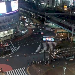 #Tokyo #ライブカメラ #歌舞伎町 【 LIVE 】東京都 新宿 24時間 ライブカメラ / 西武新宿駅 pepe前広場 交差点 （YUNIKA VISION前） Tokyo Shinjuku Live camera 27 watching now Started streaming on Sep 30, 2021