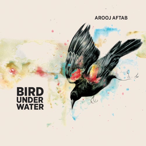 Bird Under Water