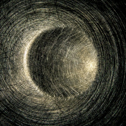 Microtonia