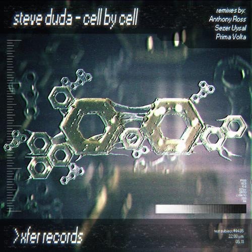 Cell by Cell