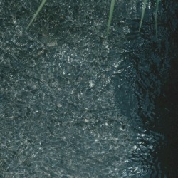 Izu Ambient 035