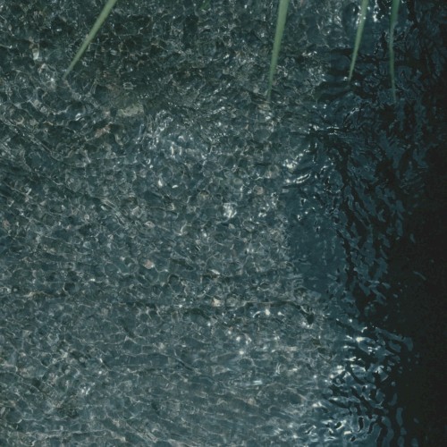 Izu Ambient 035