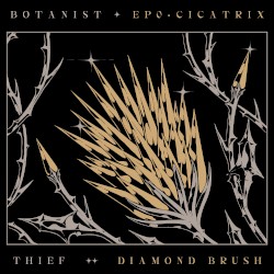 EP0: Cicatrix / Diamond Brush
