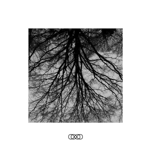030 Wax 002