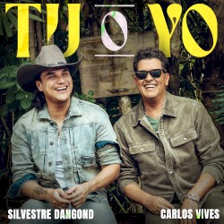 Tú o yo