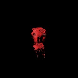 Born Without Skin