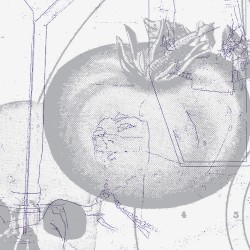 Electric Garden