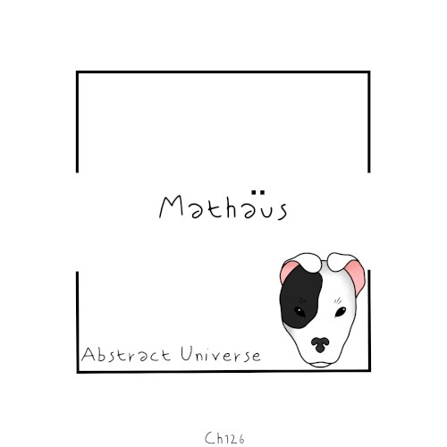 Abstract Universe