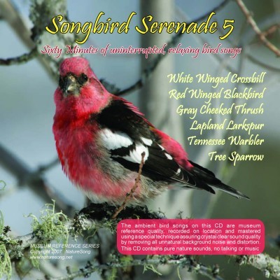 Songbird Serenade 5