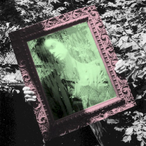 Animals & Children (Grandest Hits: 2006-2016)