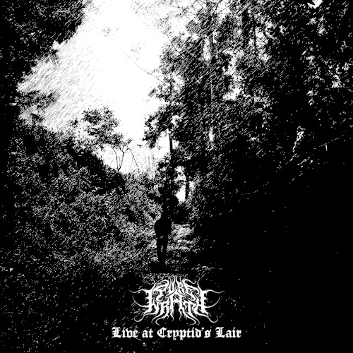 Live at Cryptid's Lair