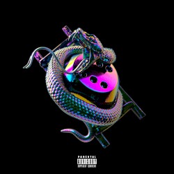 Snakes & Ladders