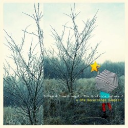 I Heard Something in the Distance, Volume 2 - A BFW Recordings Sampler