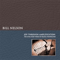 Joy Through Amplification (The Ultra-Fuzzy World of Priapus Stratocaster)