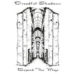 Beyond the Maze