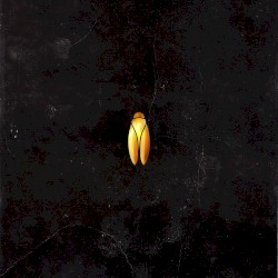 Origin