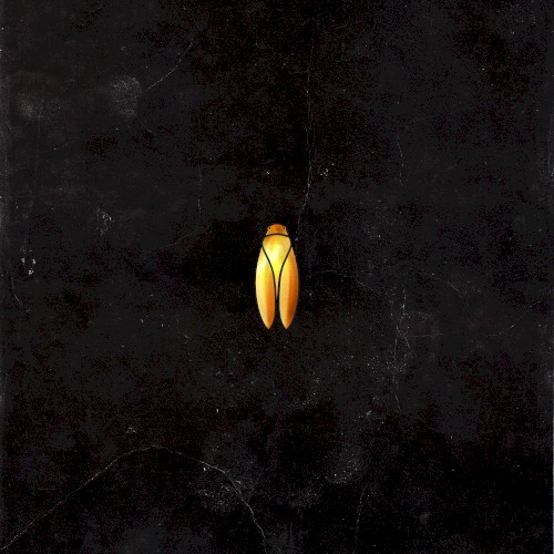 Origin