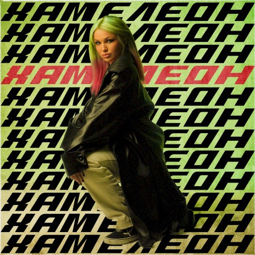 Хамелеон