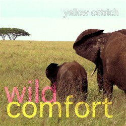 Wild Comfort