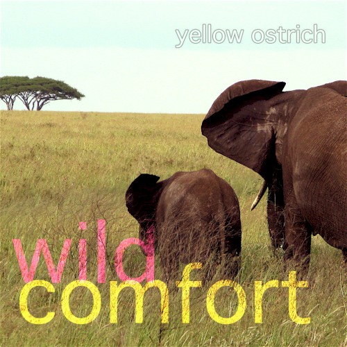 Wild Comfort