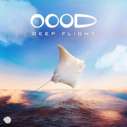 Deep Flight