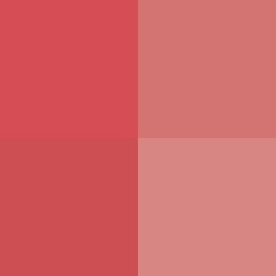 #!/for/snow