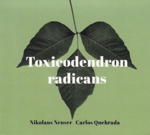 Toxicodendron Radicans