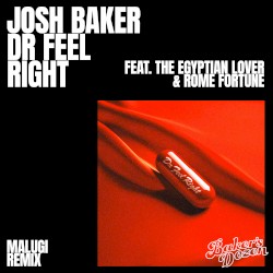 Dr Feel Right (Malugi remix)