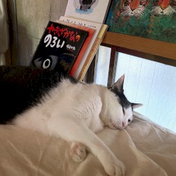 がっかり
