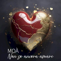 Non so ancora amare
