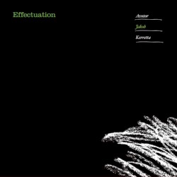 Effectuation