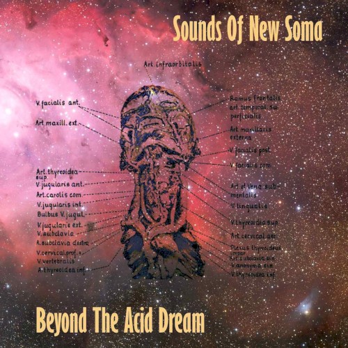 Beyond the Acid Dream