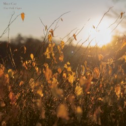 Two Folk Tapes